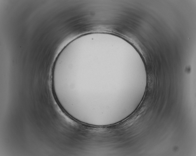 X0000097751387200803281559