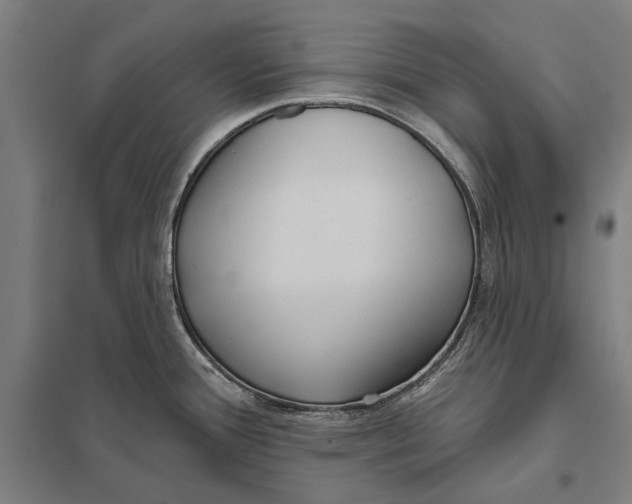 X0000097751388200803281559