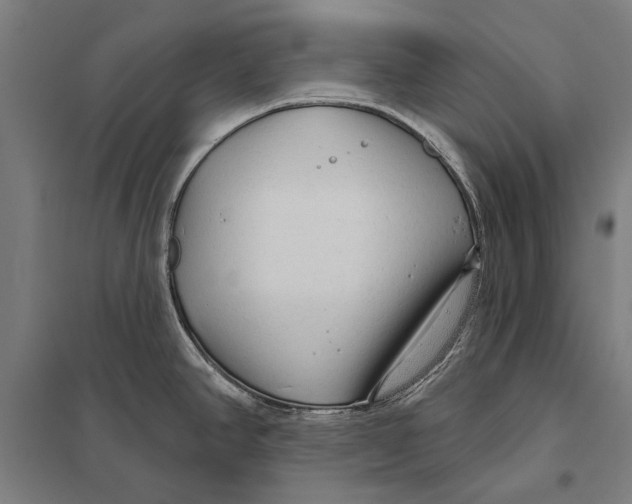 X0000097751390200803281559