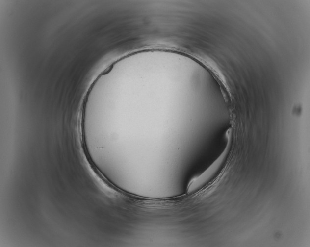 X0000097751391200803281559