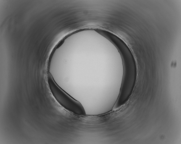 X0000097751392200803281559