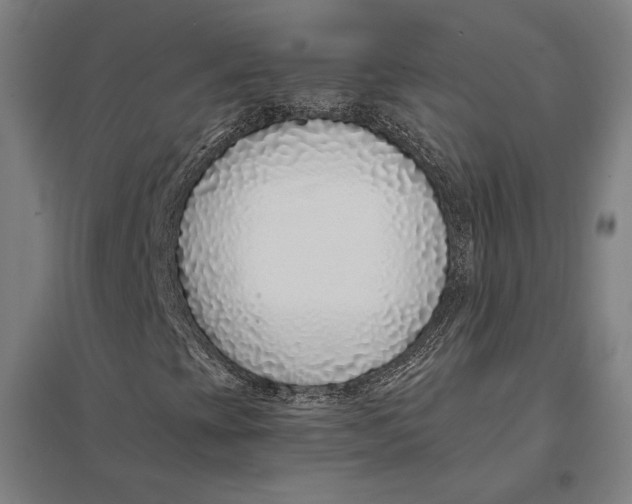 X0000097751393200803281558