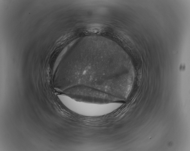 X0000097751394200803281558