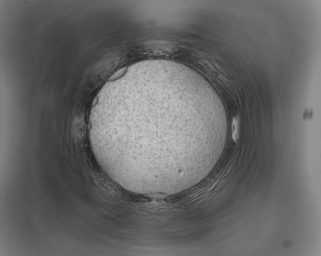 X0000097751395200803281558