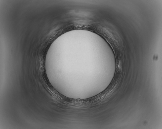 X0000097751396200803281558