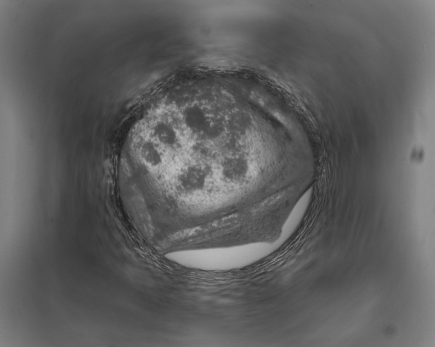 X0000097751397200803281558