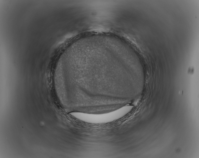 X0000097751398200803281558