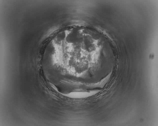 X0000097751399200803281558