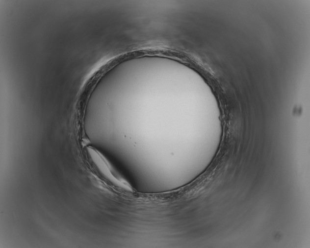 X0000097751400200803281558