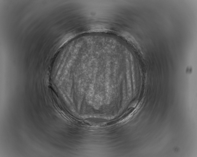 X0000097751401200803281558