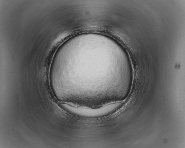 X0000097751402200803281558