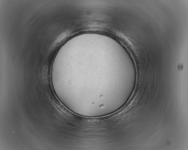 X0000097751403200803281558