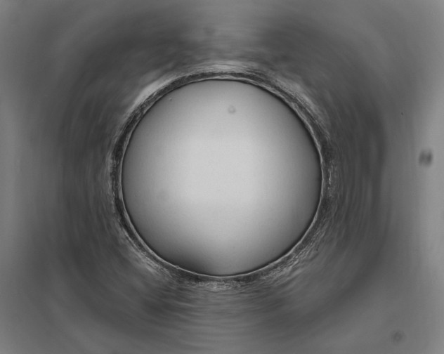 X0000097751404200803281558