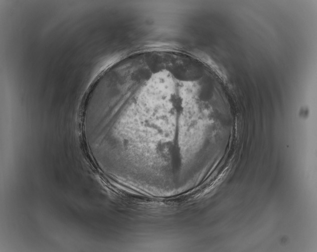 X0000097751405200803281558