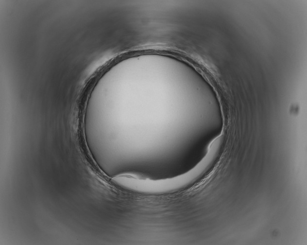 X0000097751406200803281558