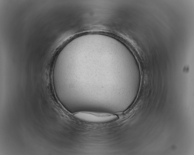 X0000097751407200803281558