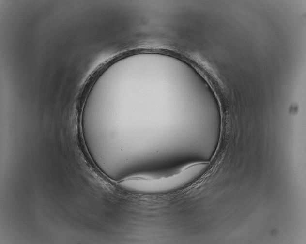 X0000097751408200803281558