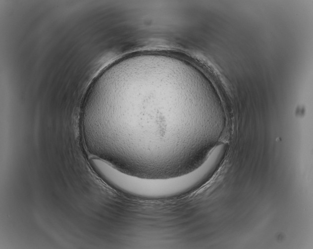 X0000097751409200803281558