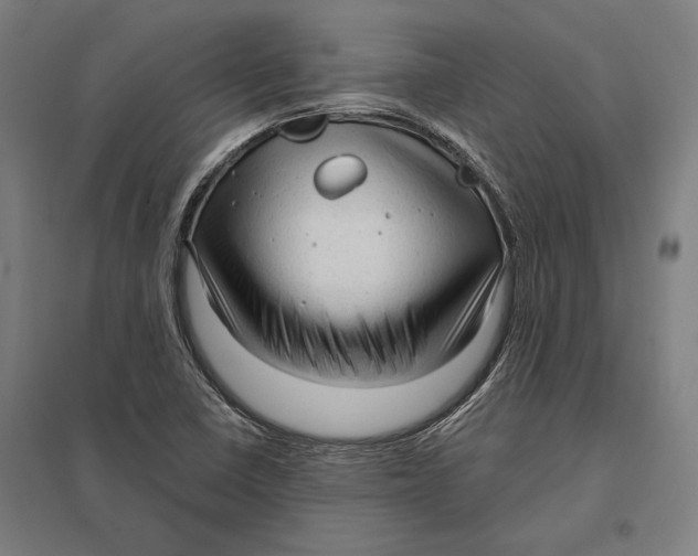 X0000097751410200803281558