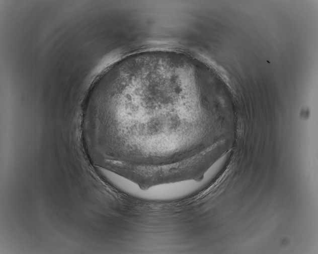 X0000097751411200803281558