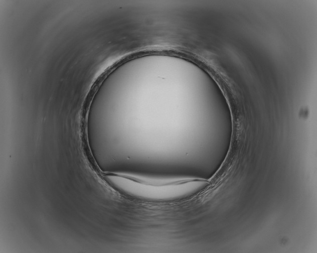 X0000097751412200803281558