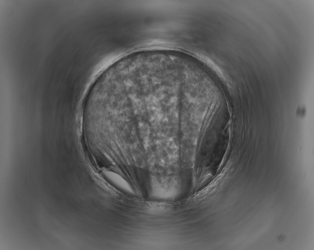 X0000097751413200803281558