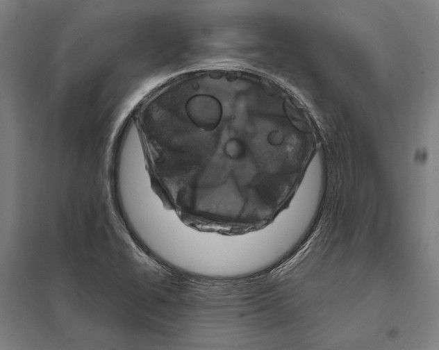 X0000097751414200803281558