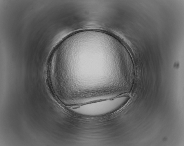 X0000097751415200803281558