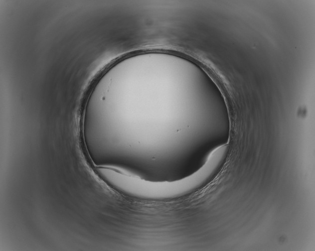 X0000097751416200803281558