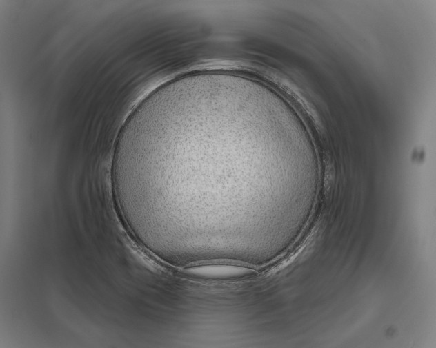 X0000097751417200803281558