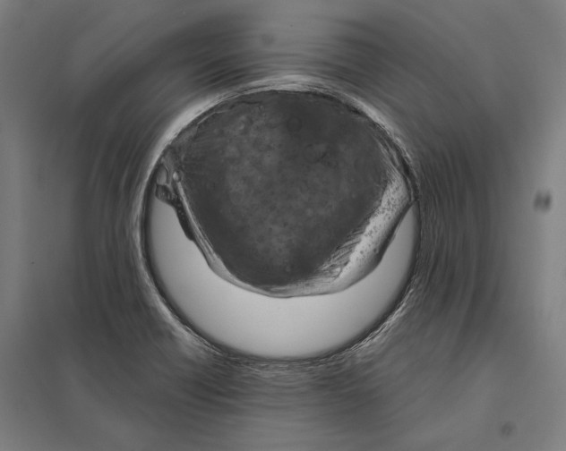 X0000097751418200803281558