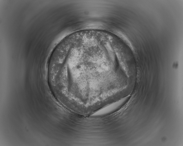 X0000097751419200803281558