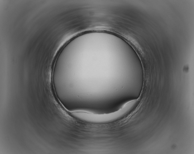 X0000097751420200803281558