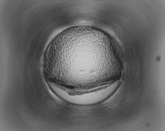 X0000097751421200803281559