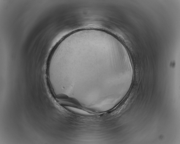 X0000097751422200803281559