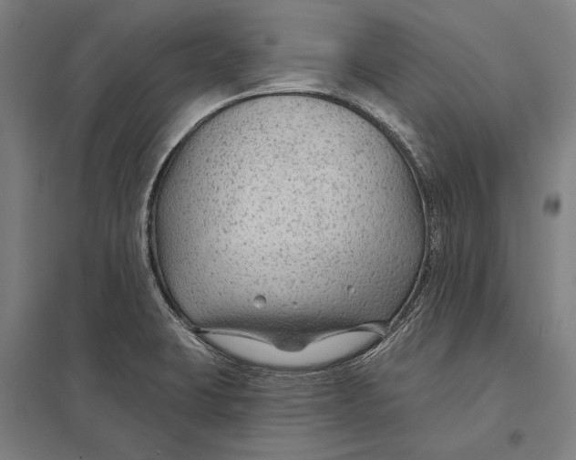 X0000097751423200803281559