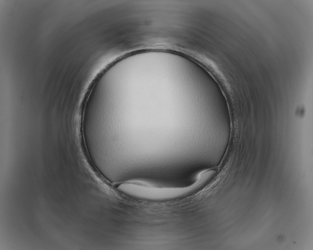 X0000097751424200803281559