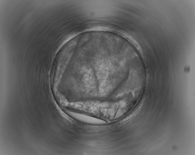 X0000097751425200803281559