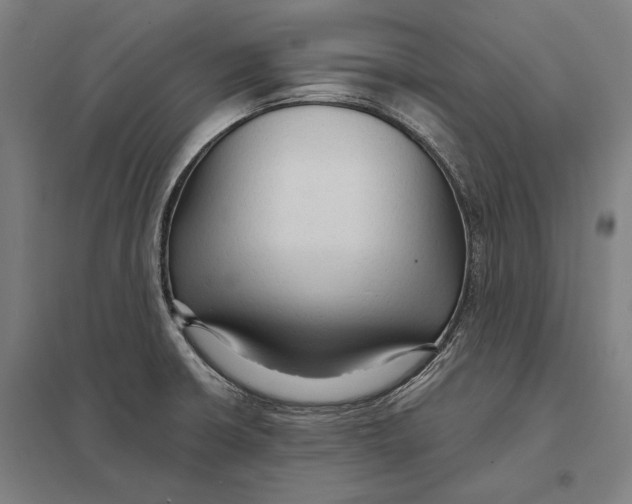 X0000097751426200803281559