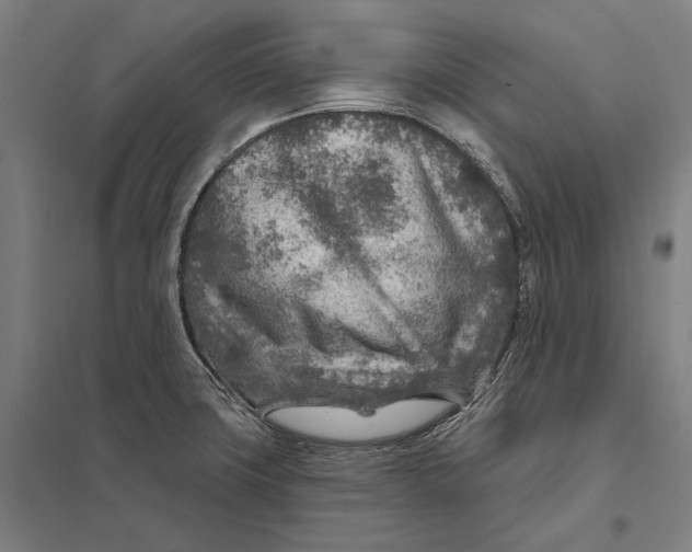 X0000097751427200803281559