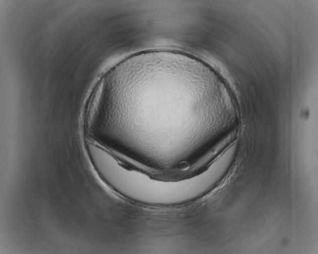 X0000097751429200803281559