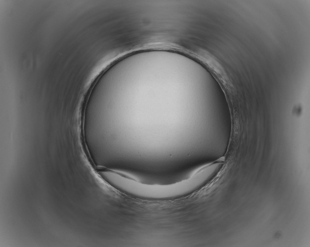 X0000097751430200803281559