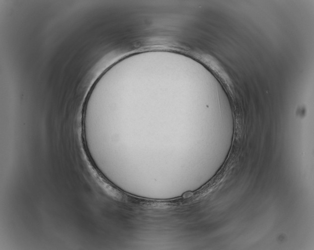 X0000097751431200803281559