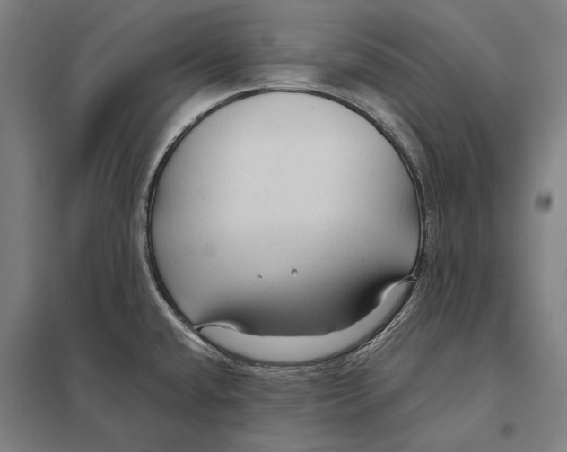 X0000097751432200803281559