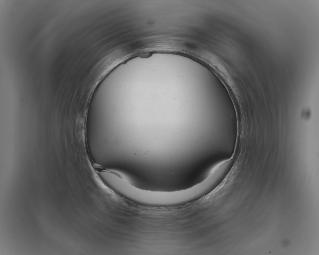 X0000097751433200803281559