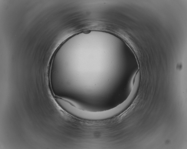 X0000097751434200803281559