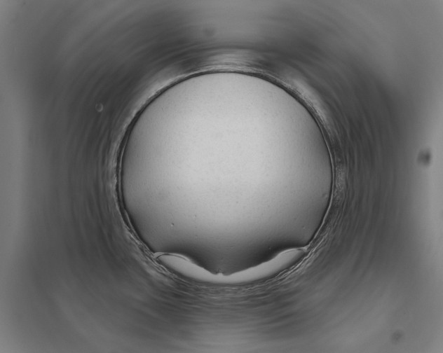 X0000097751435200803281559