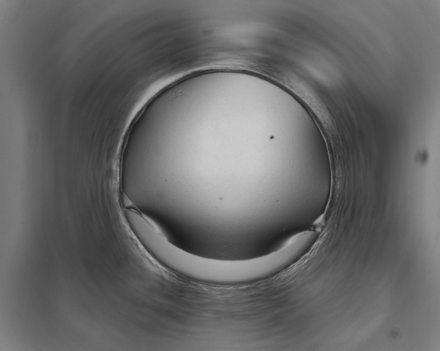 X0000097751436200803281559