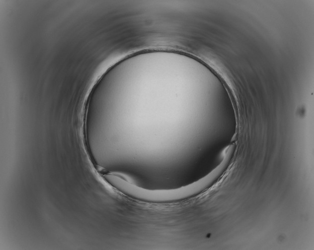 X0000097751437200803281559