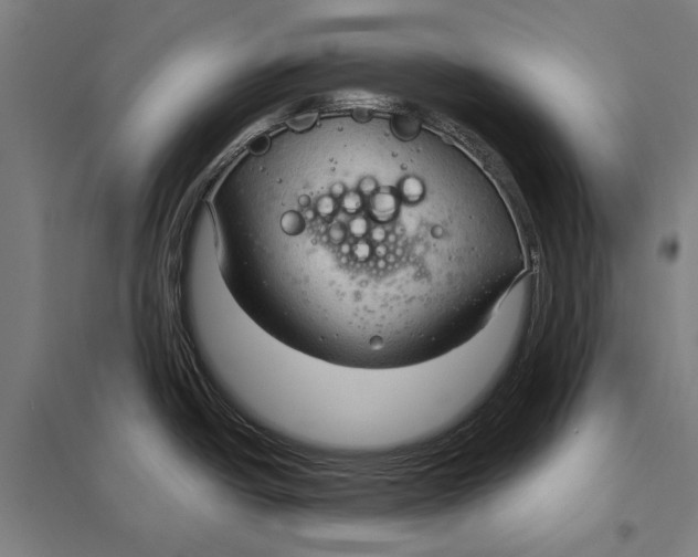 X0000097751438200803281559